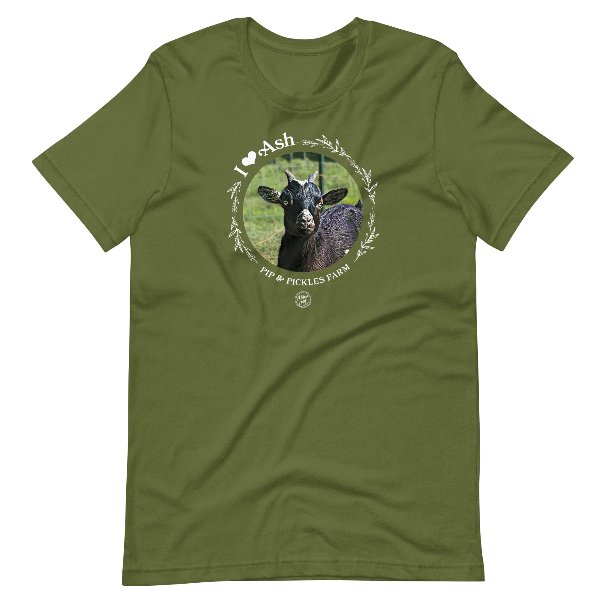 Wood Duck Adult Ash T-shirt